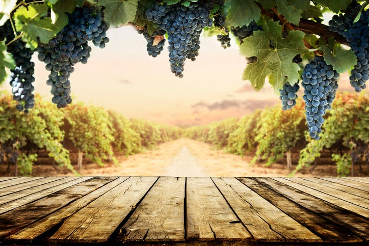 Winery 