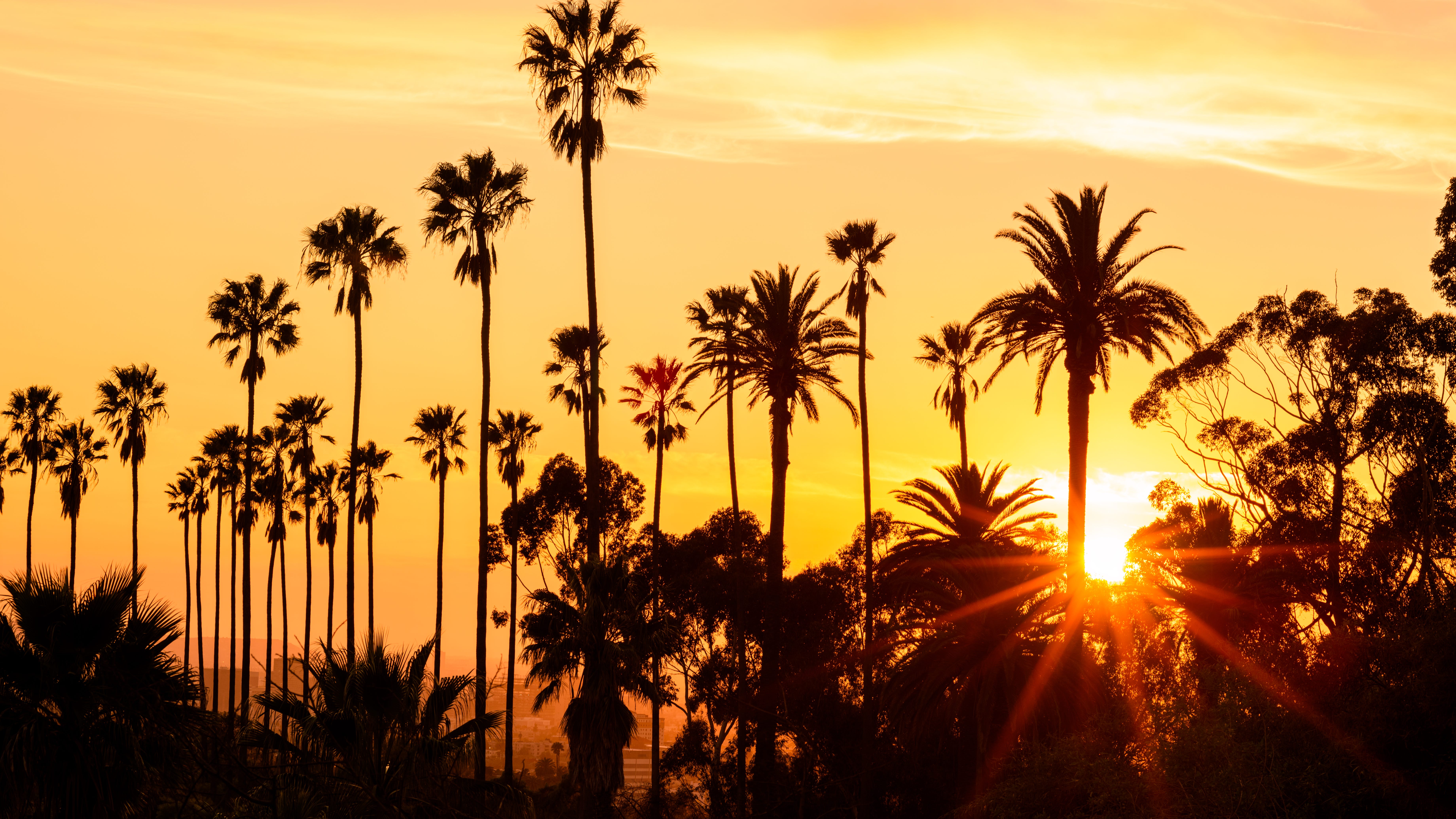  Wind advisory issued for parts of Los Angeles County