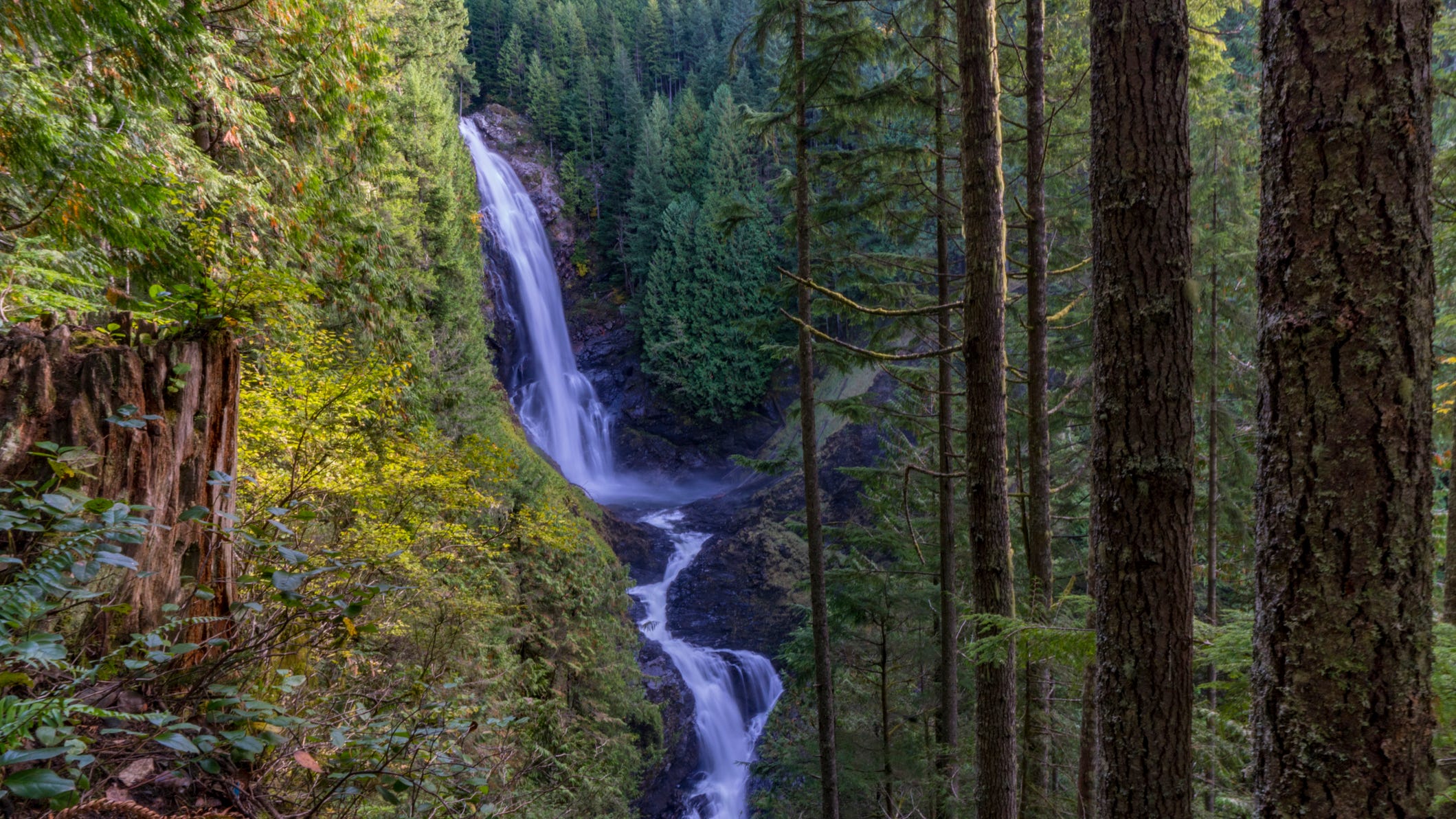 Body of 25-year-old NJ hiker found in WA state park: officials