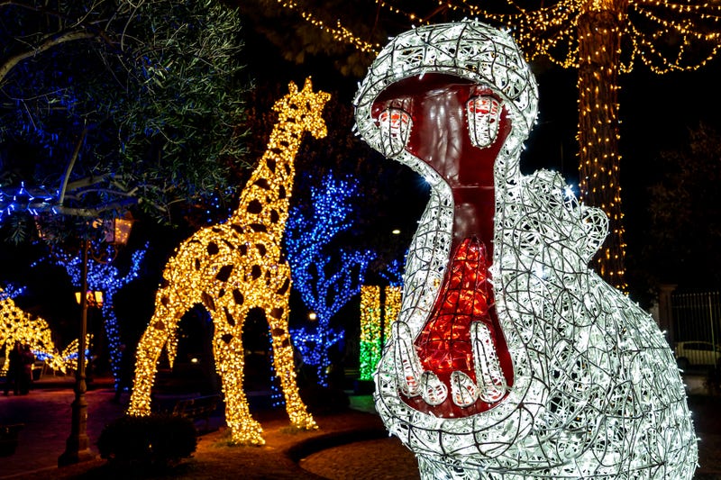 Holiday lights in the shape of a hippo and a giraffe