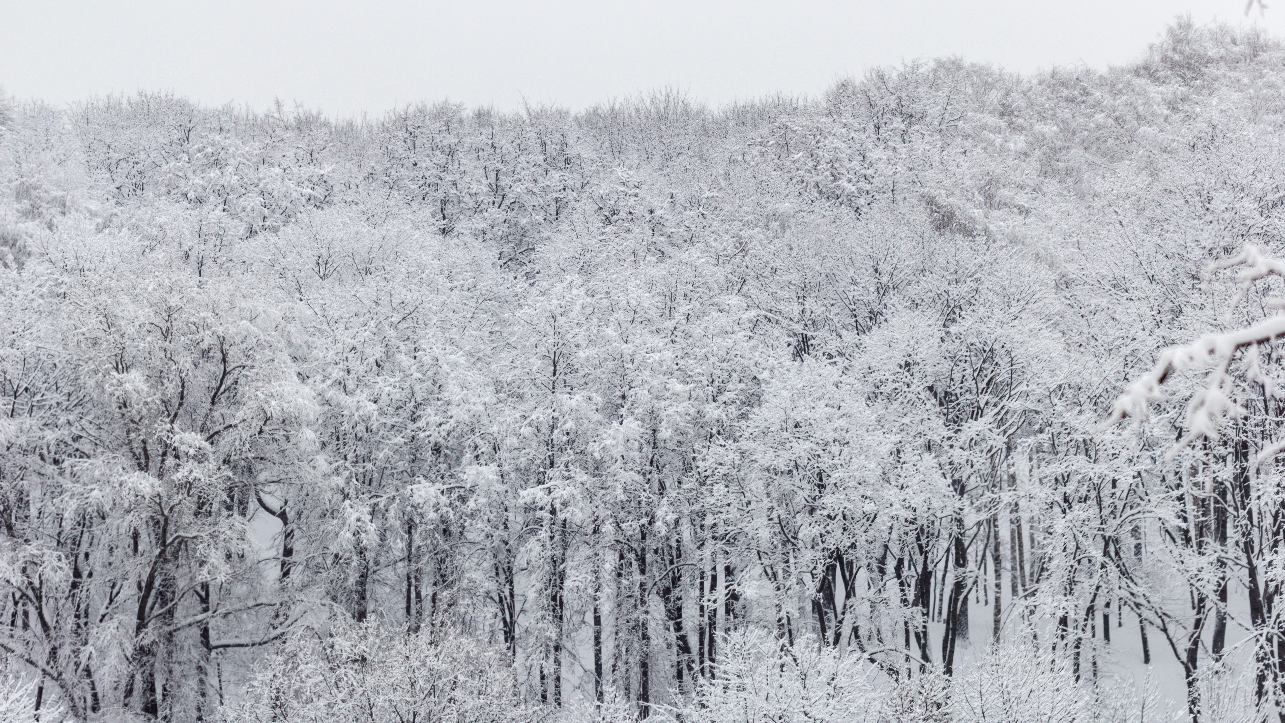 Medical Report: As hours of daylight fade, don’t dismiss SAD symptoms