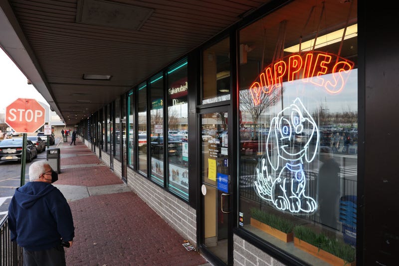 A person looks in the windows of Shake A Paw in Hicksville, New York on Dec. 16, 2021.