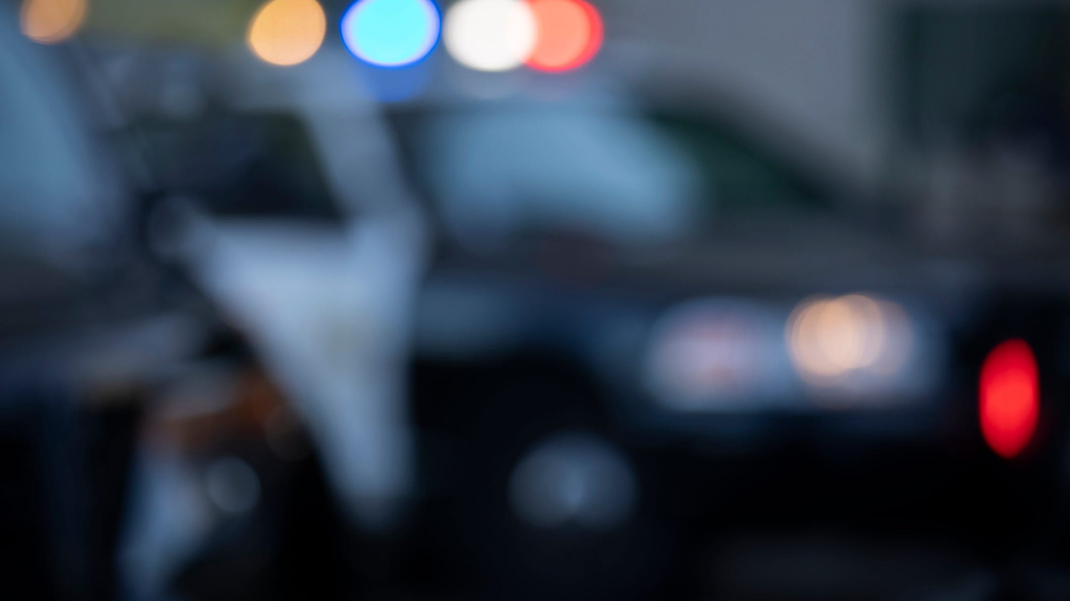 Michigan woman killed in apparent murder-suicide filed for protection order just days before