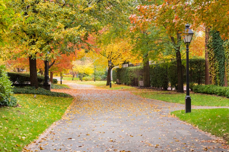 texas campus