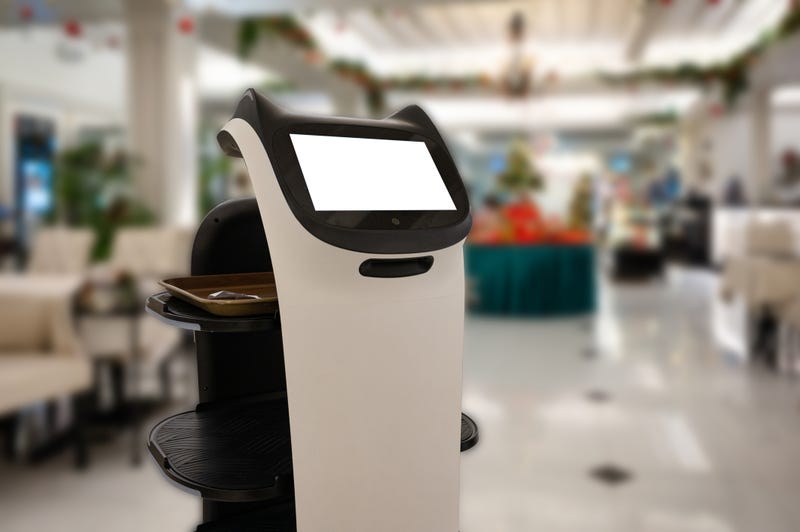 personal robot