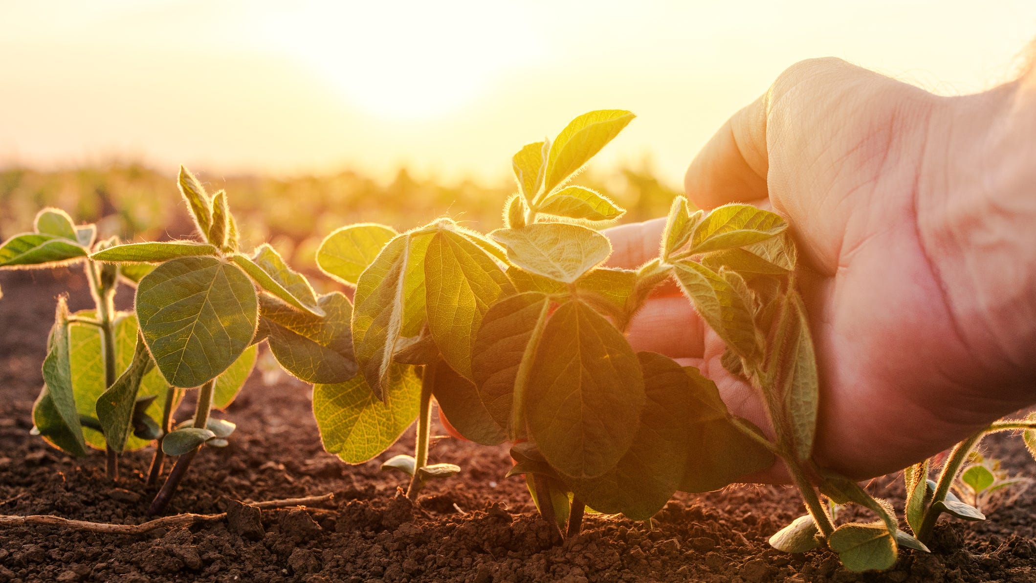 Farm protection bill advances in Texas Legislature