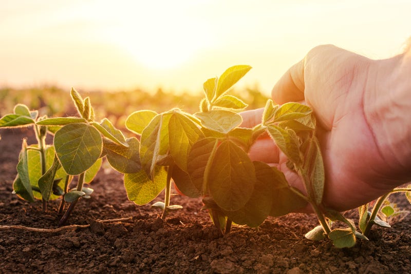 Farming