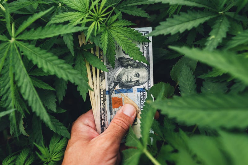 cannabis