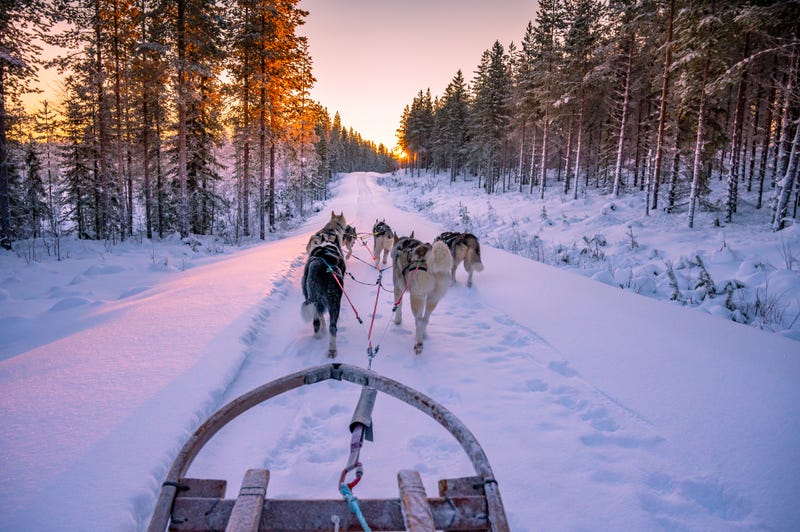 Sled Dog Race, North Shore, Duluth, Snow, Minnesota