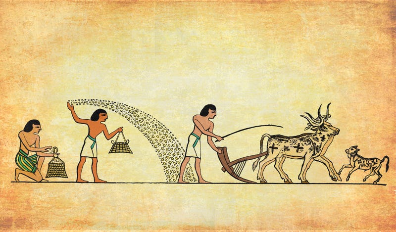 agricultural history