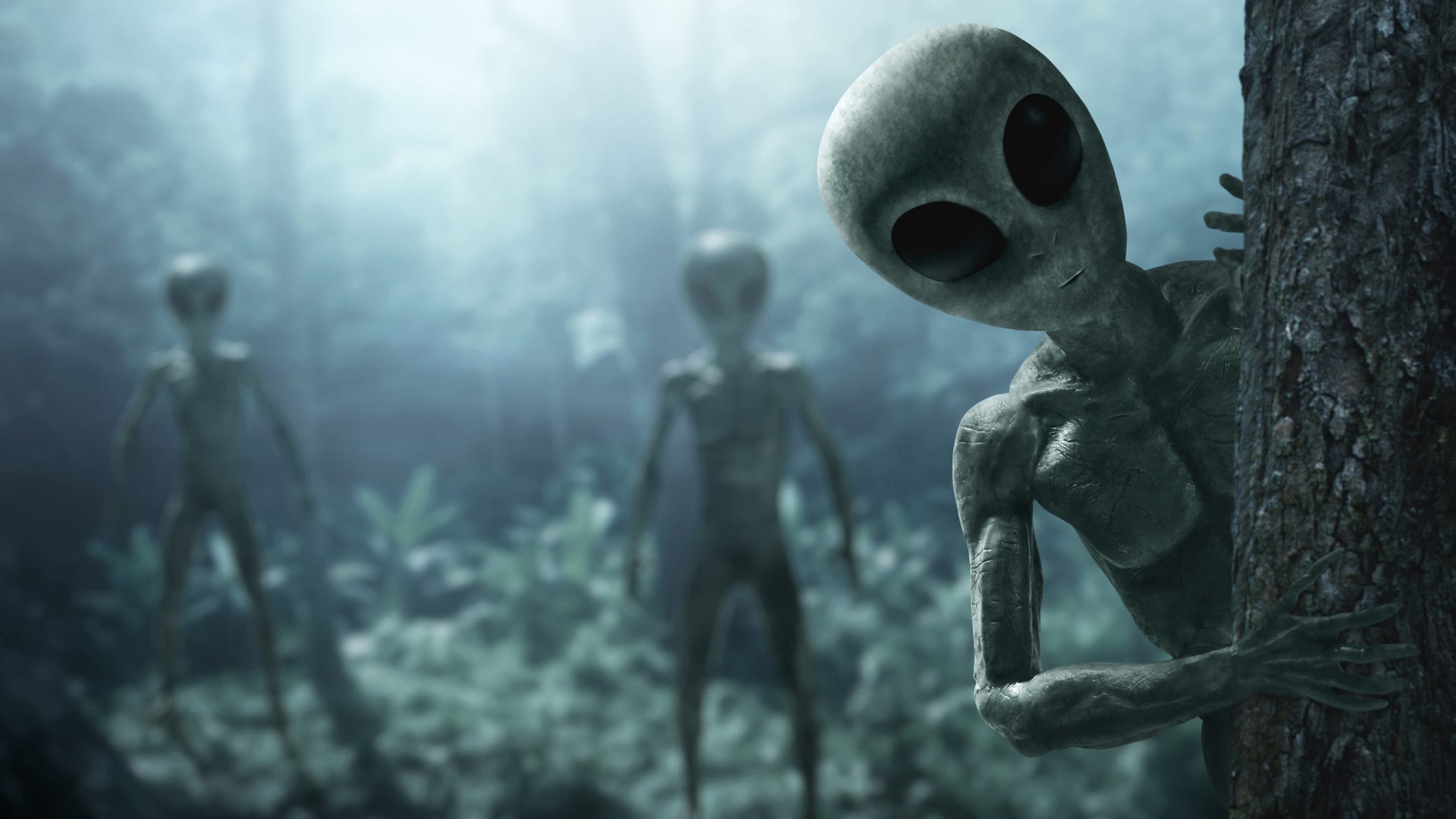 White House says there's no evidence things floating in the sky were aliens