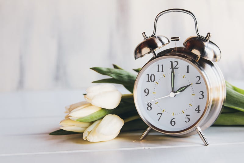 Daylight Savings Time