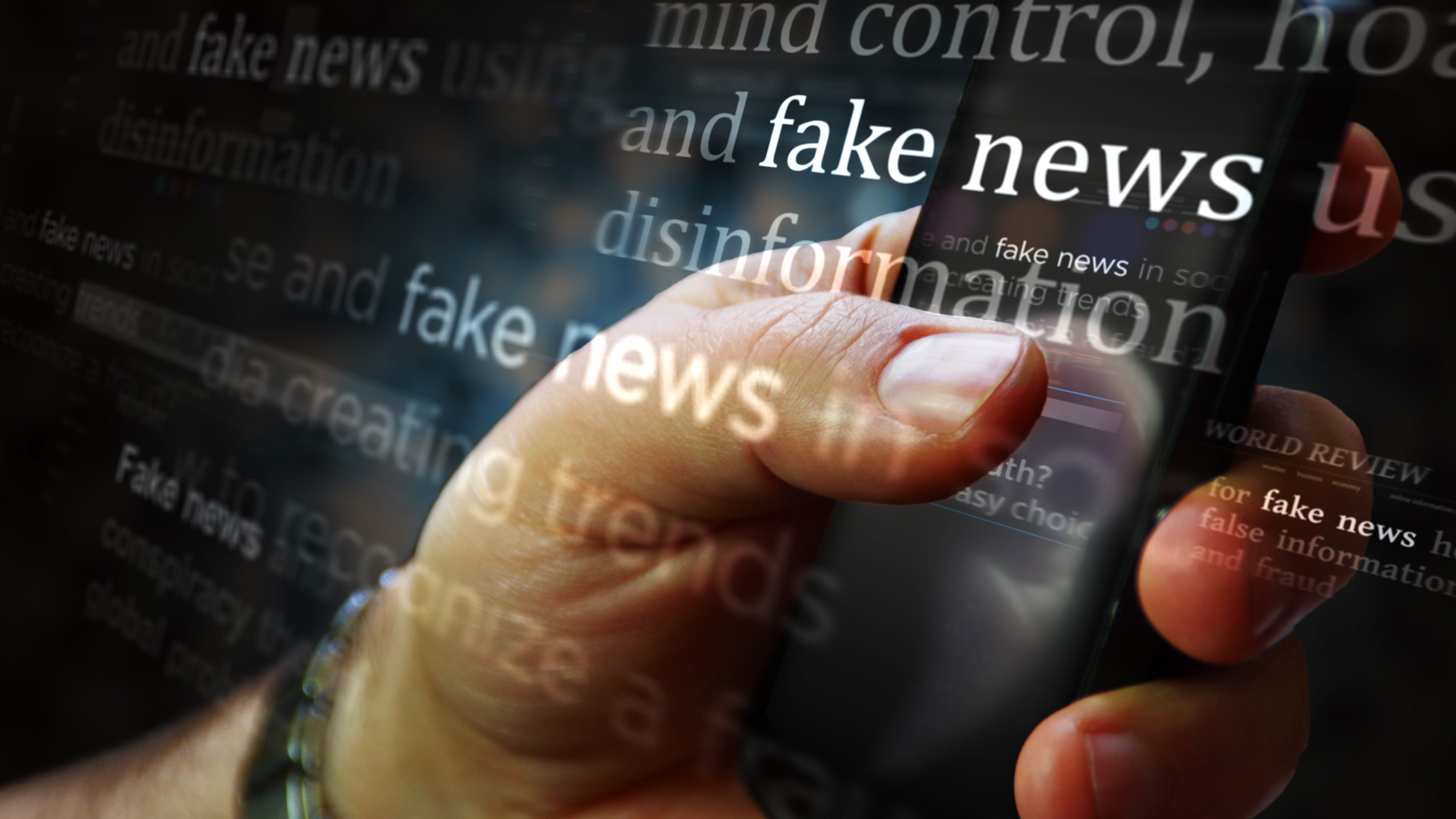 Downstate sheriff calls online meatballs story related to his county 'fake news'