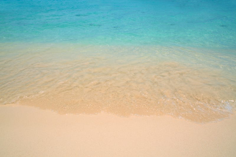 The shoreline of the ocean. 
