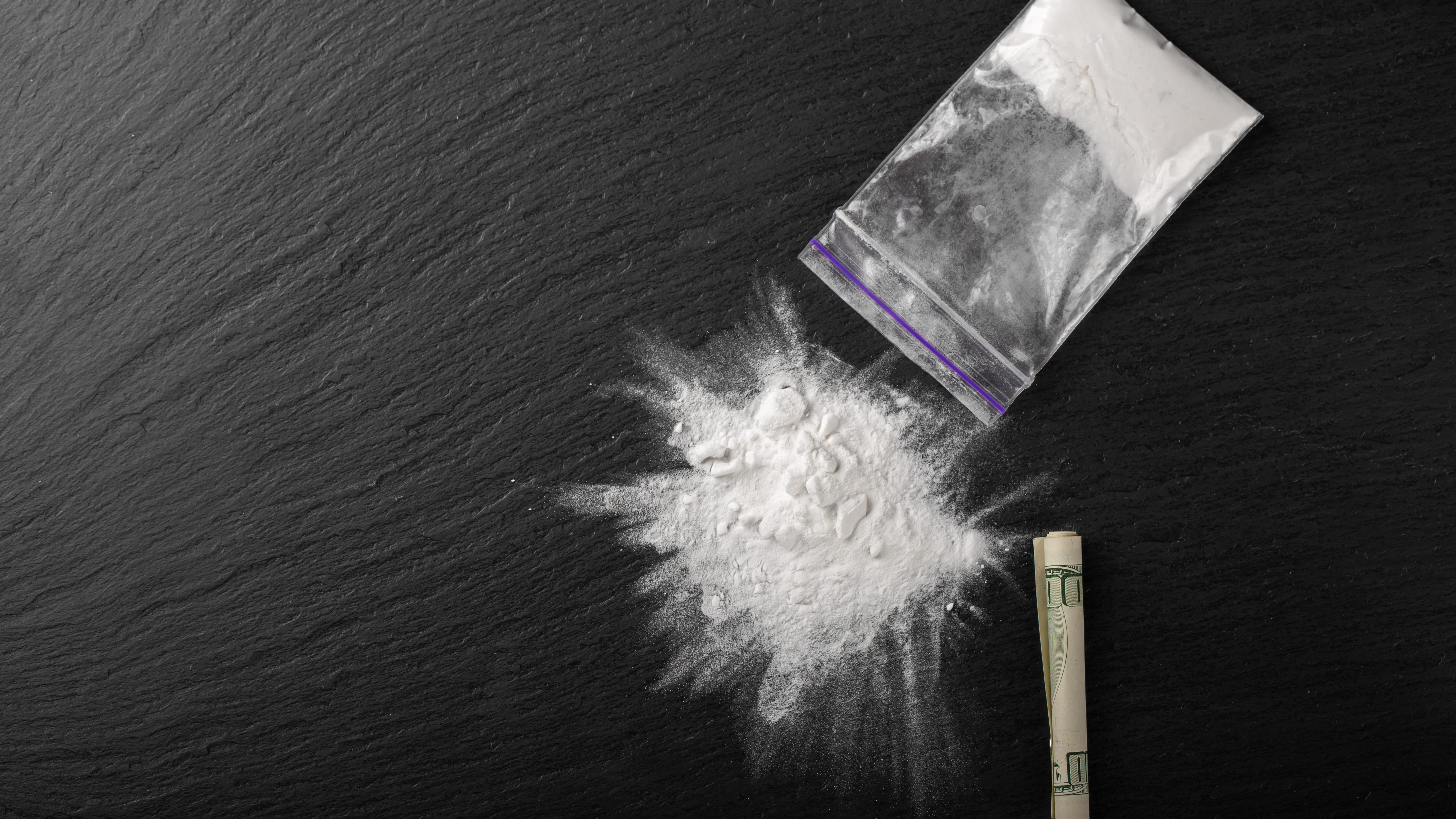‘Cartel wives’ of Chicago’s twin cocaine kingpins plead guilty to stashing drug cash
