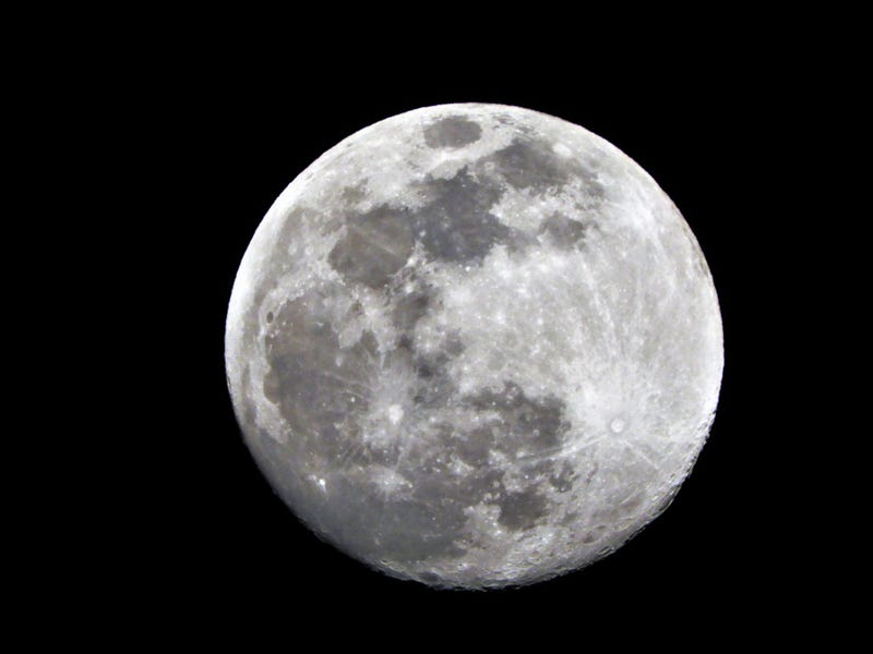 The moon in the night sky