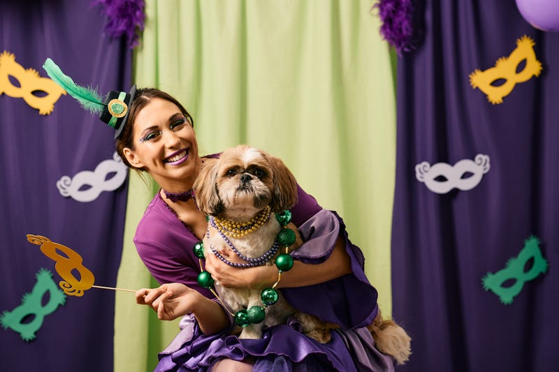 Mardi Gras dog
