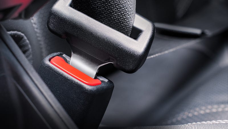 seat belt