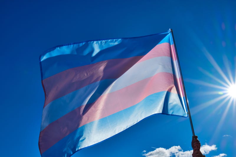 Image of the transgender flag against the light blowing in the wind with blue sky in the background.
