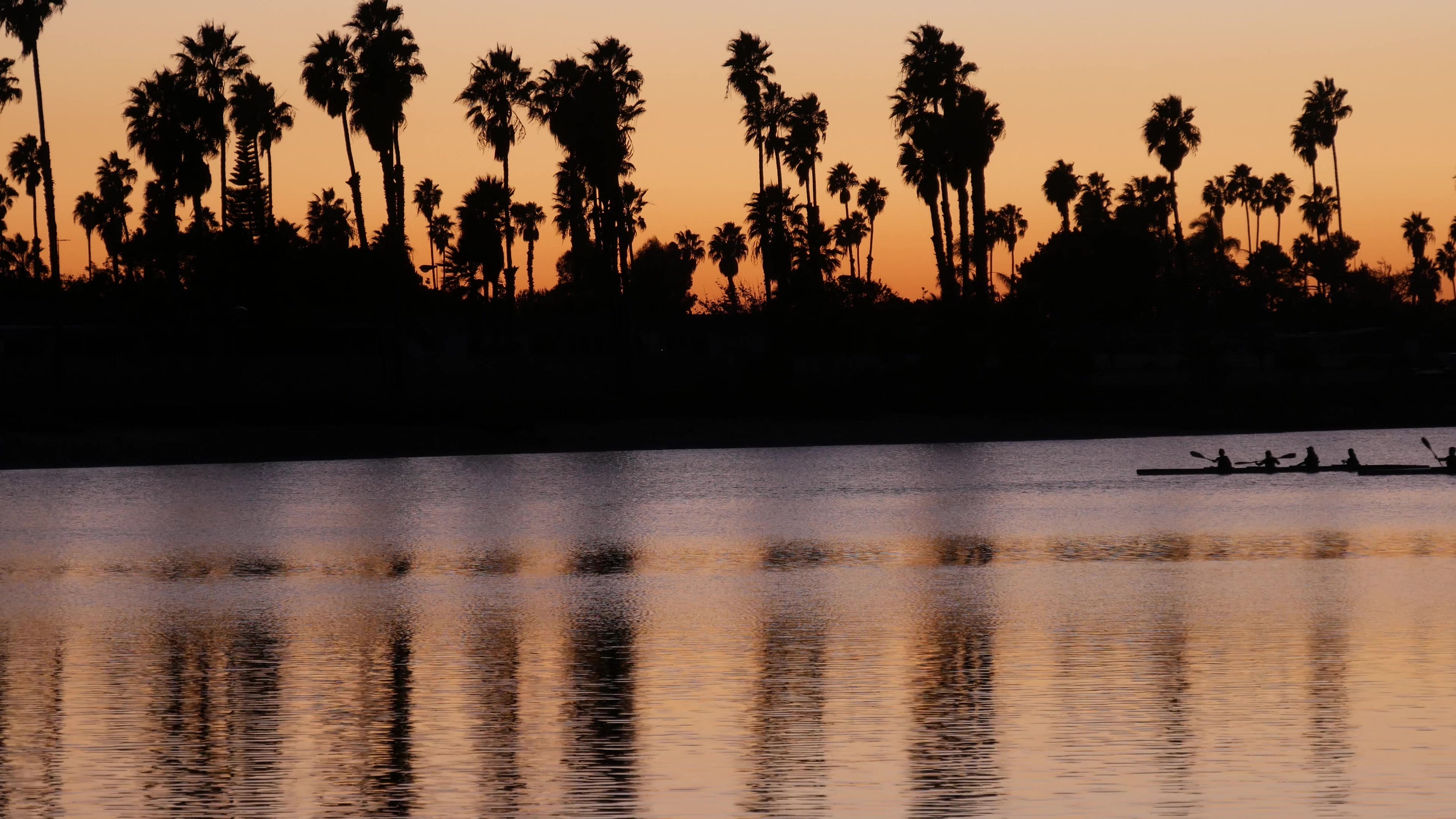 Man, possibly drunk, swims to safety after vehicle submerged in Mission Bay: police