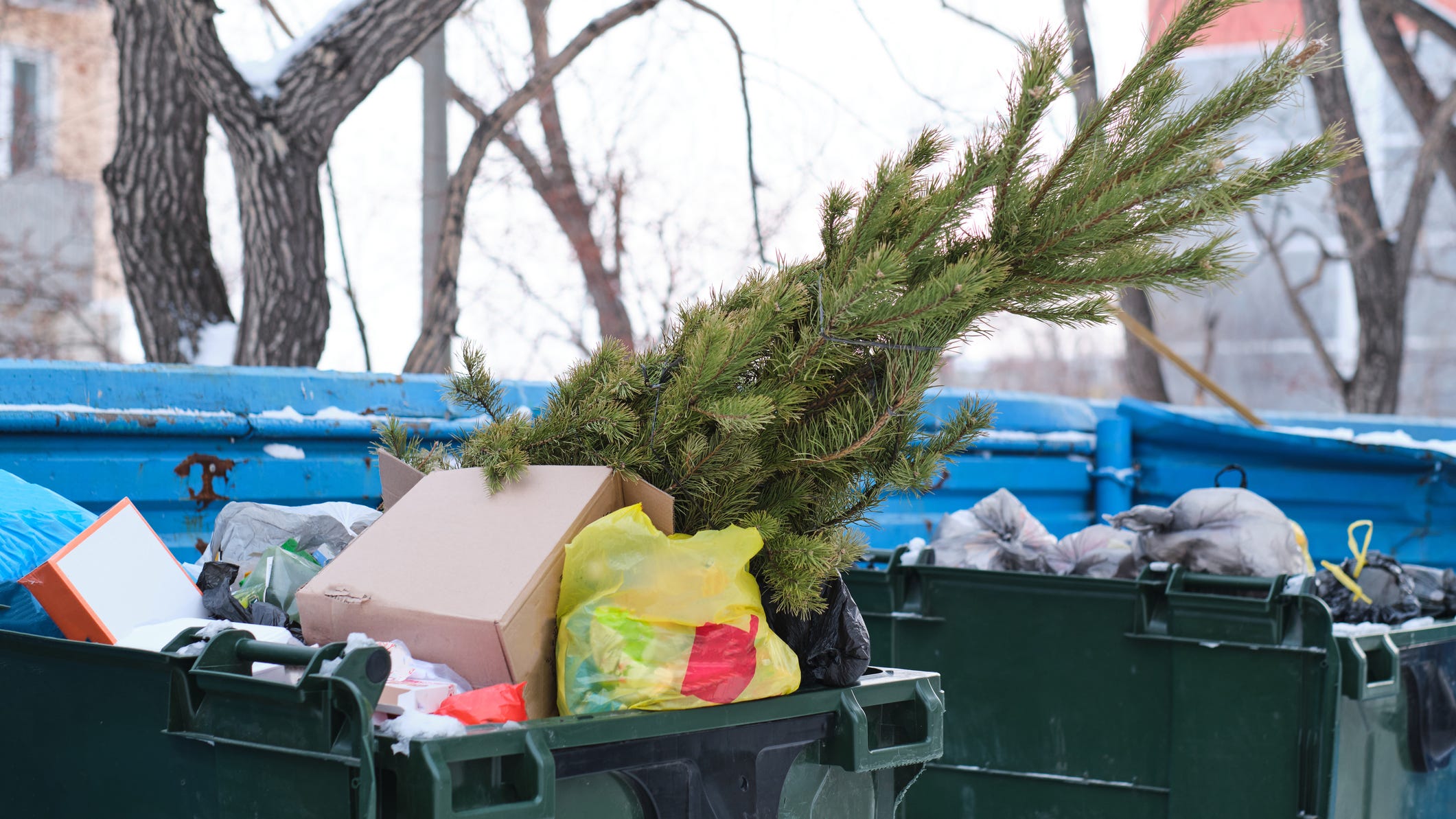 When should your Christmas tree come down?