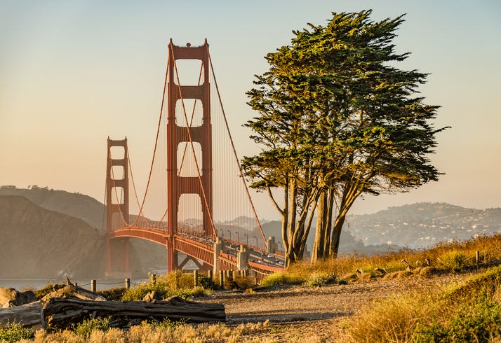 Golden Gate Bridge seen from Golden Gate Park.