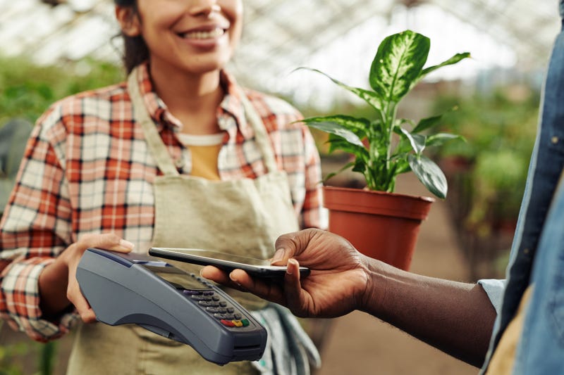 Avoid financial mishaps with a new business