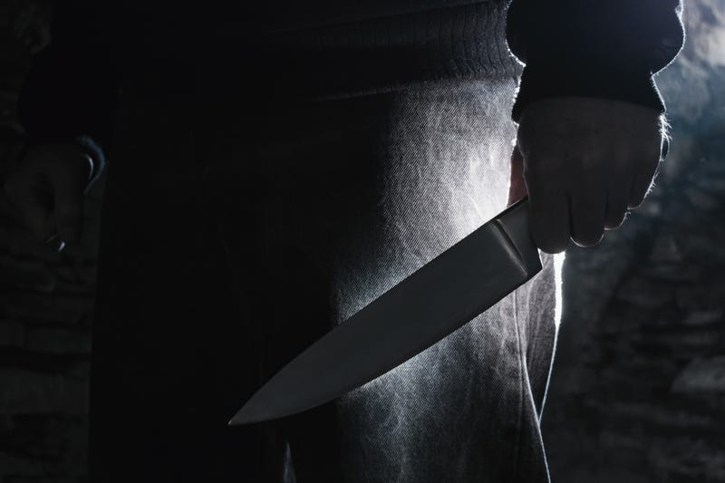 A 17-year-old from Hamtramck is facing murder changes for allegedly stabbing a man to death near Belle Isle Nature Center last Friday.