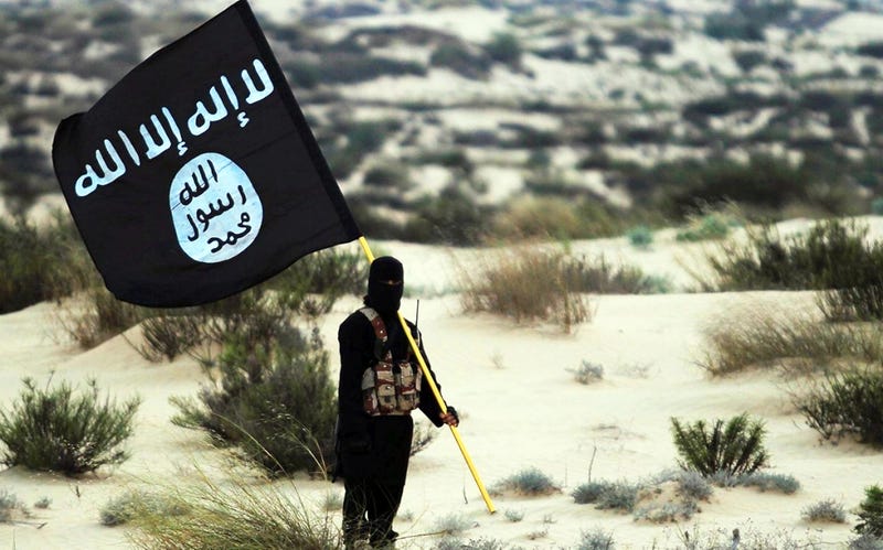 Islamic State/Iraq/Syria: A masked Islamic State soldier poses holding the ISIL banner somewhere in the deserts of Iraq or Syria in 2015.