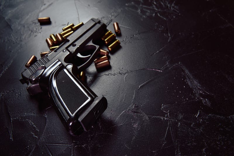 Gun