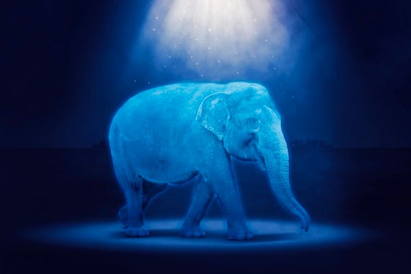 Holographic elephant