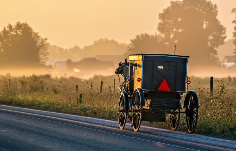 Horse and buggy trotting down a country road in morning light