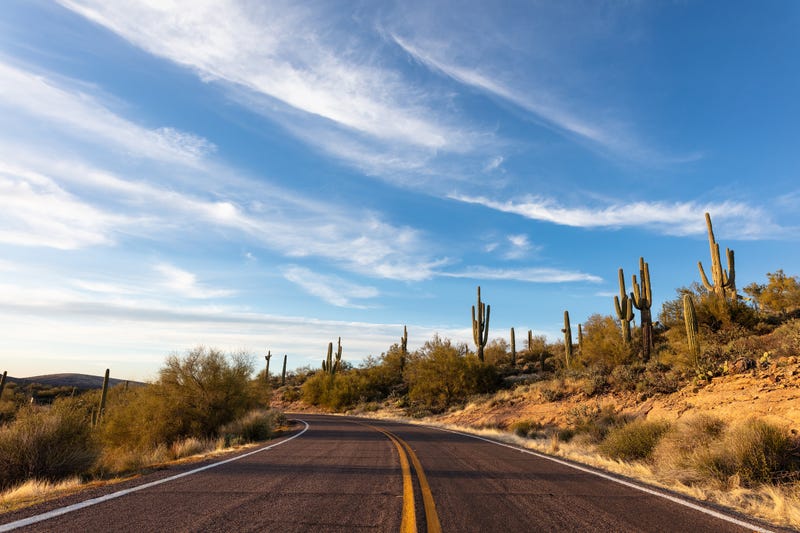 Sonoran Desert in Phoenix, Arizona.
