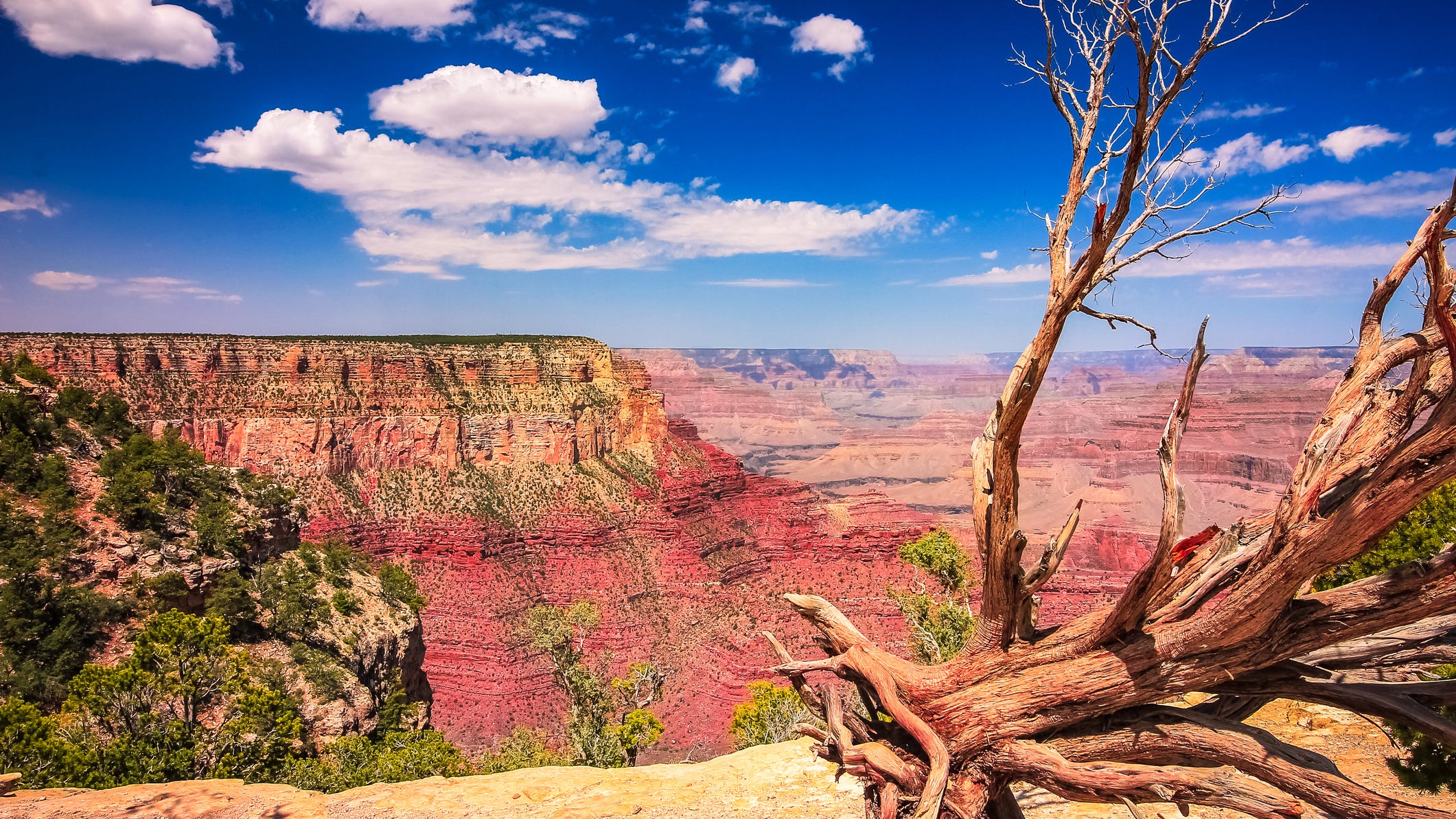 TikToker fined and called out after posting a video of her hitting golf balls into the Grand Canyon