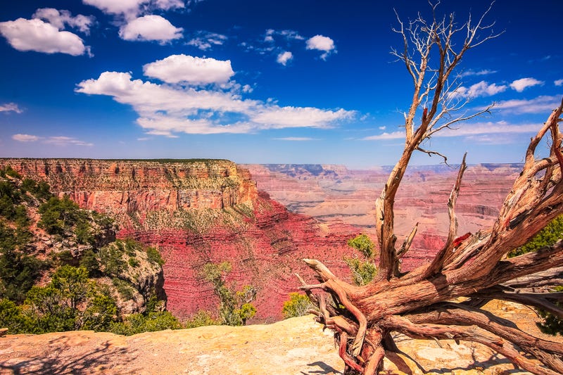 Grand Canyon.