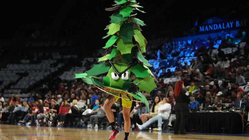 Stanford student suspended from being tree mascot after unfurling banner