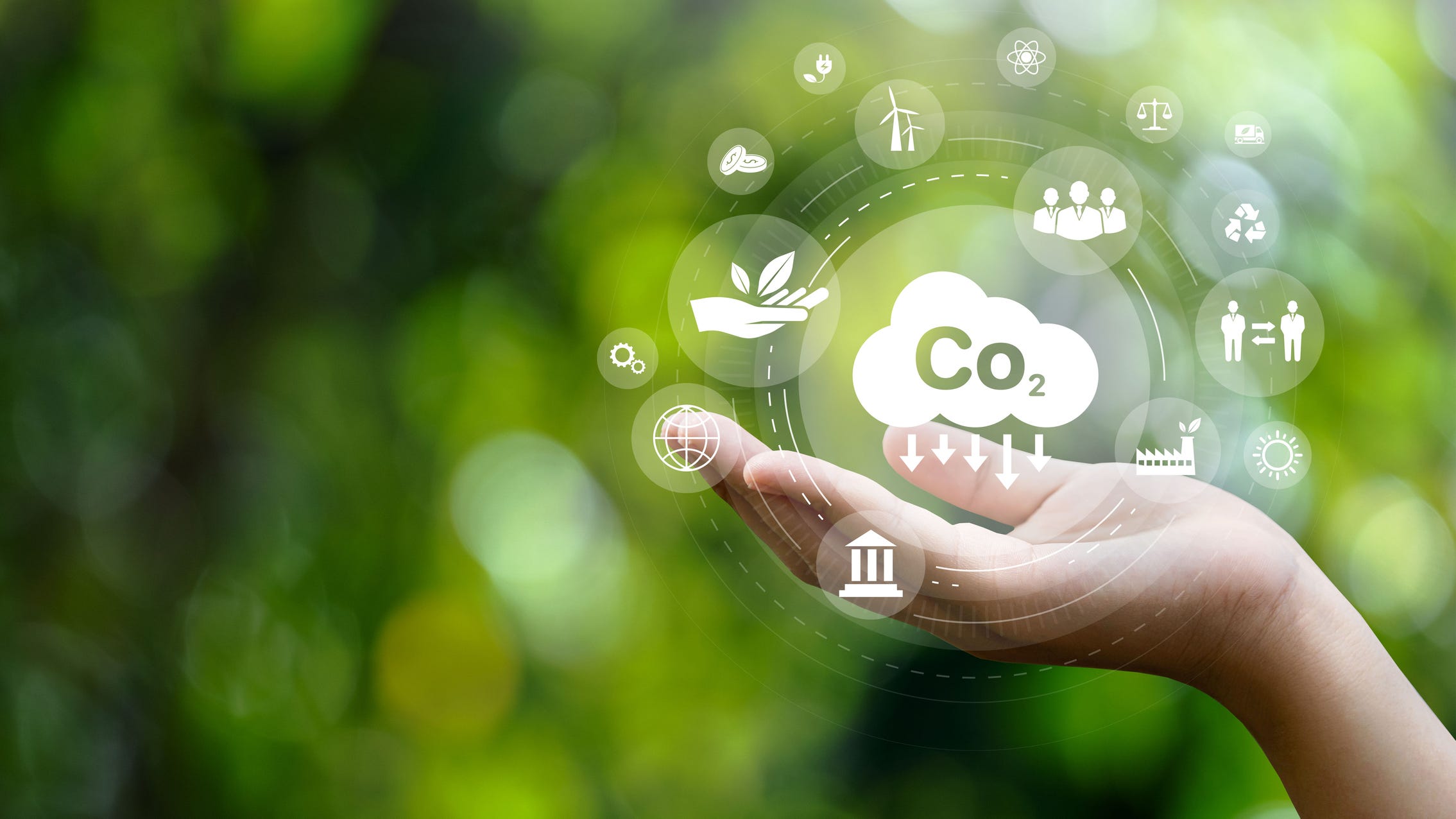 Carbon dioxide at levels our human species has never experienced before: expert