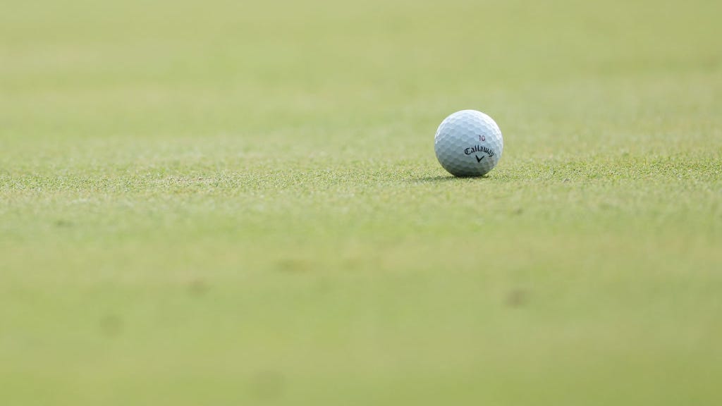 Neighbors rebuke proposed $3M for Cobbs Creek Golf Course restoration at public budget hearing
