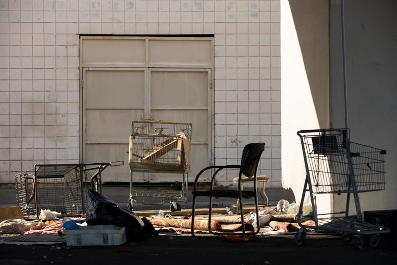 shopping carts and scattered possessions under overpass