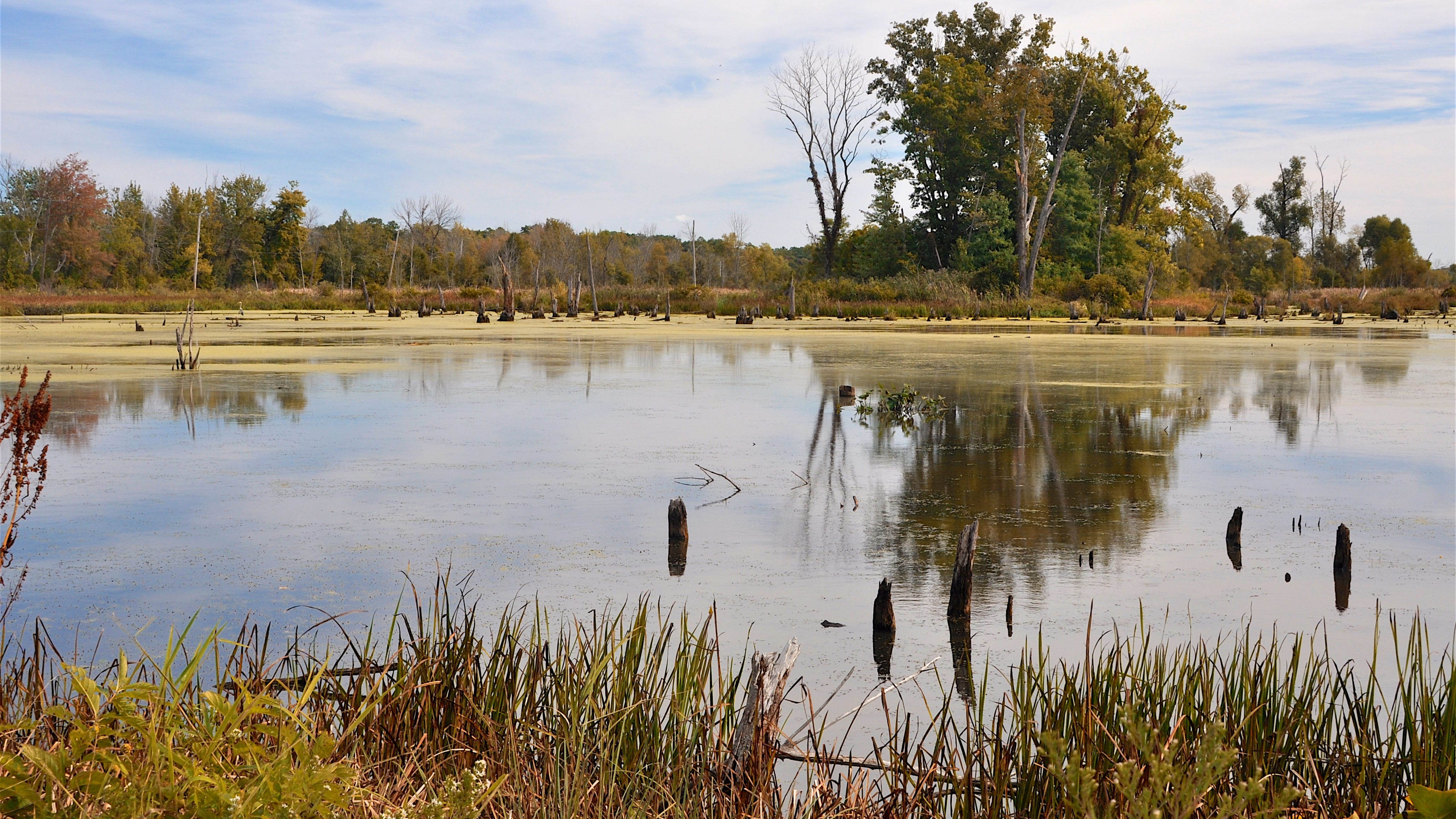 Tourism dramatically increases at Indiana Dunes National Park
