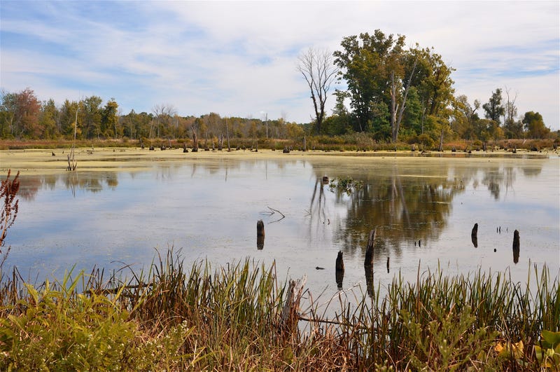 state park