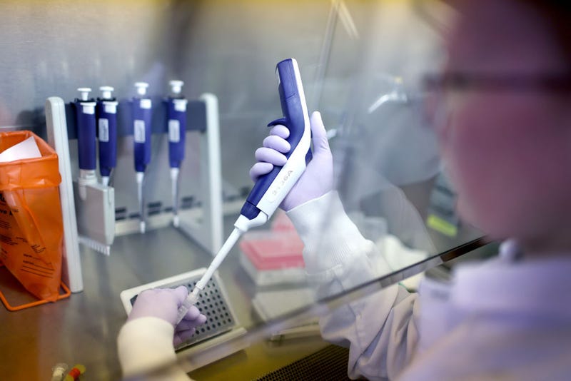 Microbiologist Anne Vandenburg-Carroll tests poultry samples collected from a farm located in a control area for the presence of avian influenza, or bird flu, at the Wisconsin Veterinary Diagnostic Laboratory at the University of Wisconsin-Madison on March 24, 2022 in Madison, Wisconsin.