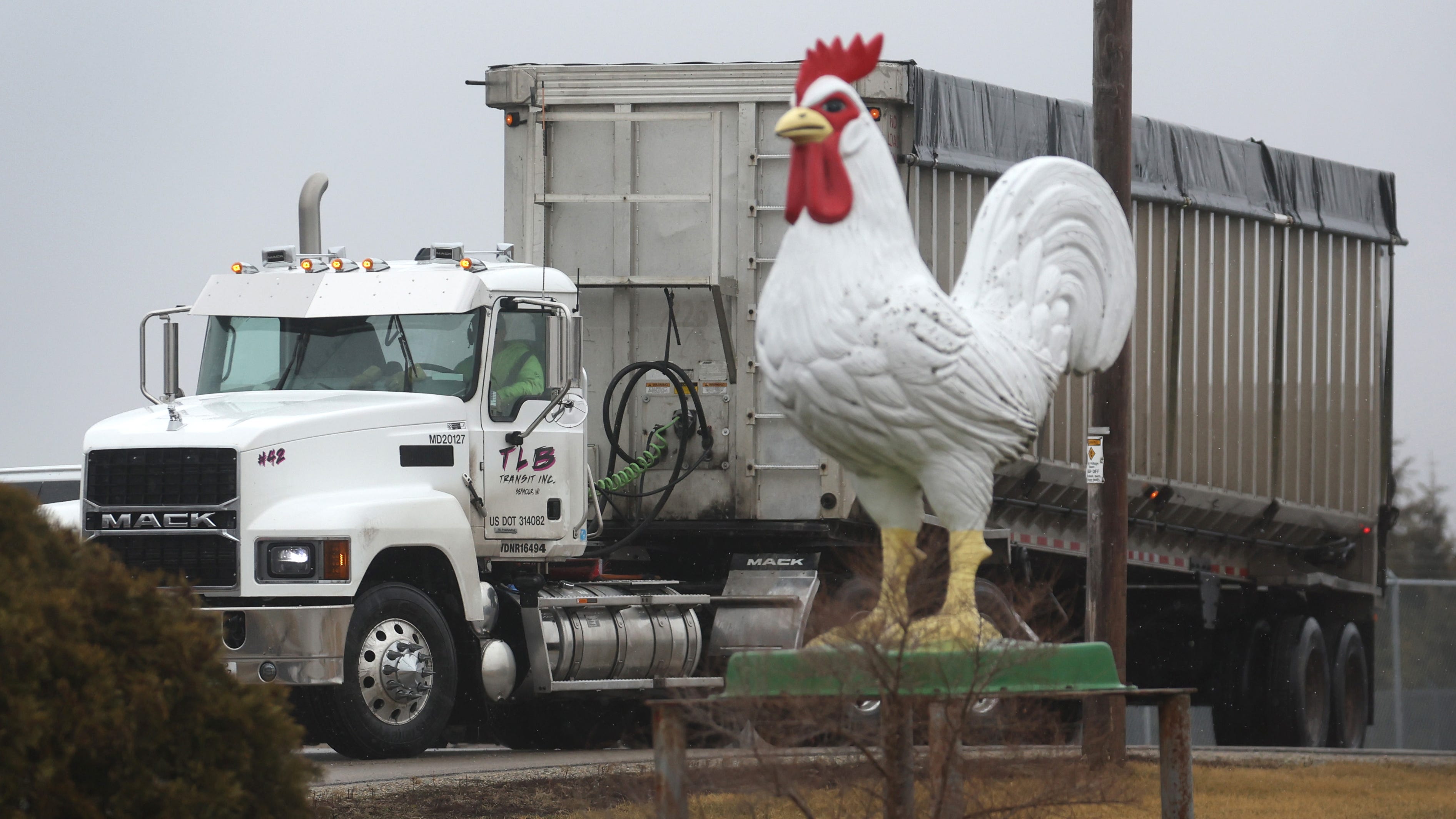 1st human case of bird flu detected in the U.S.