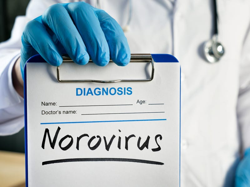 Norovirus