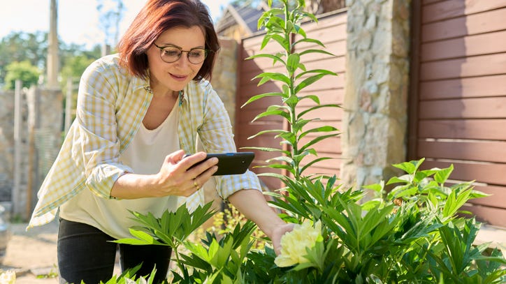 Find out what's growing in your backyard and contribute to this green database