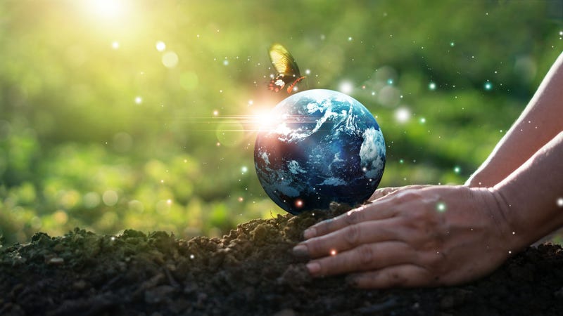 Earth Day and Environment concept, Hands of human protect blue earth and flying butterfly on green morning background. Save clean planet, Saving environment, Ecology and green nature. - stock photo
