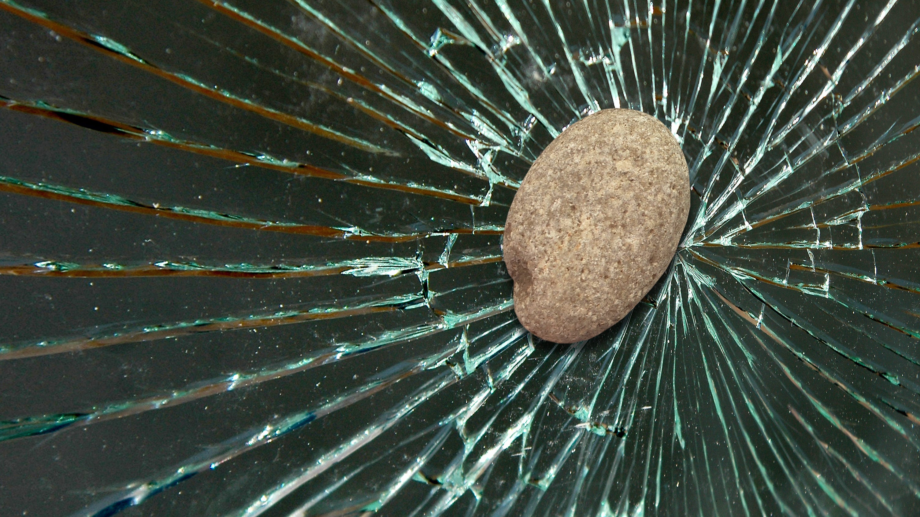 LAPD officers arrest man throwing rocks at their patrol cars