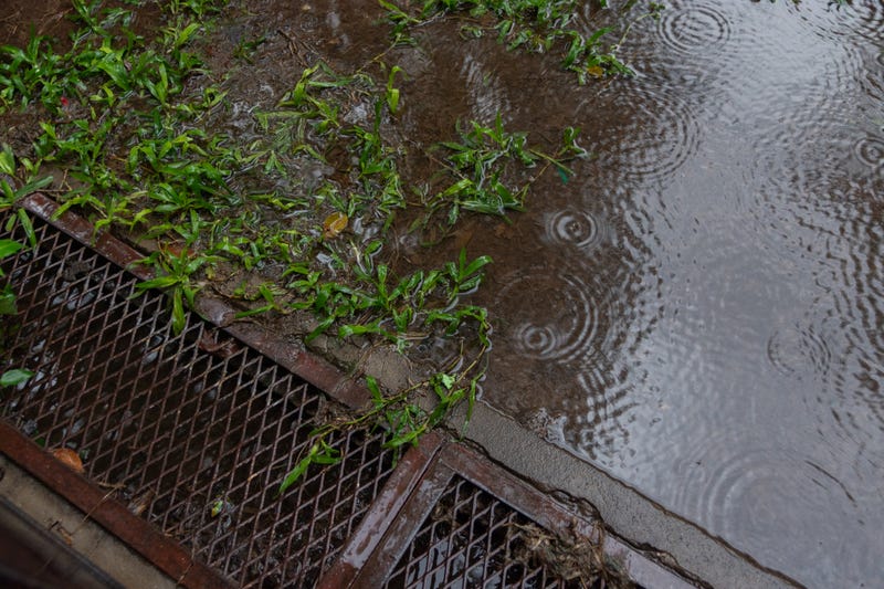 drought/rain