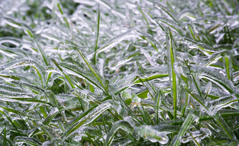 Freeze