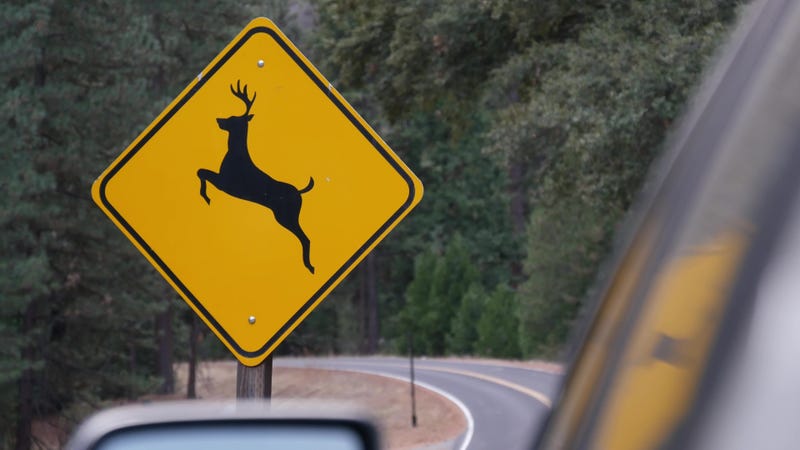 Deer crossing sign